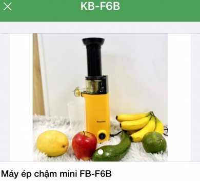 Máy ép chậm mini FB-F6B