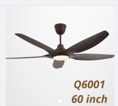 Quạt đèn Q6001