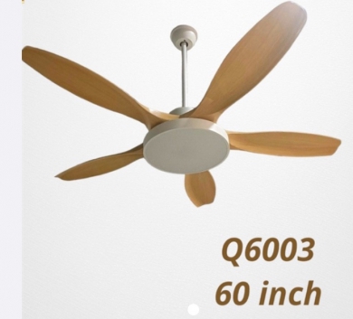 Quạt đèn 6003