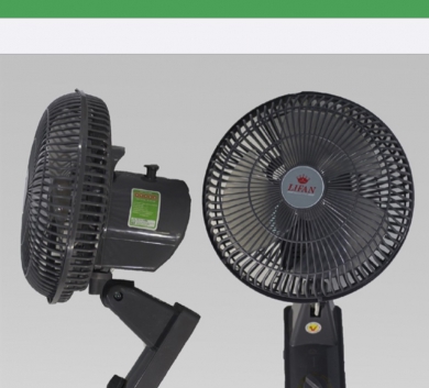 Quạt treo tường Lifan cỡ nhỏ T109